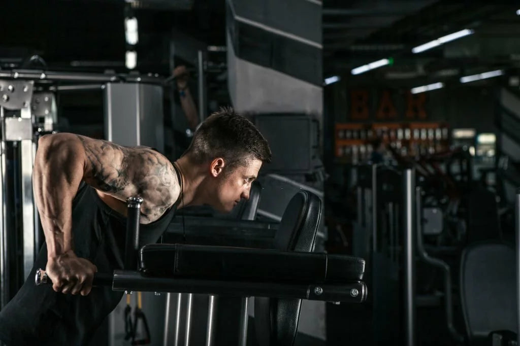 Dips discount chest workout