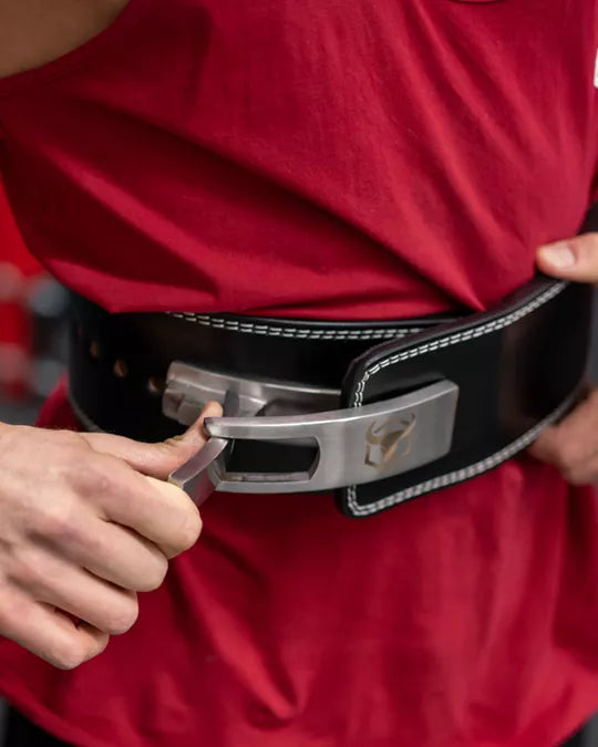 Stainless Steel Lever Buckle