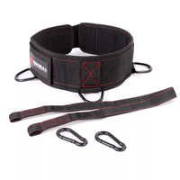 Advanced Dip Belt