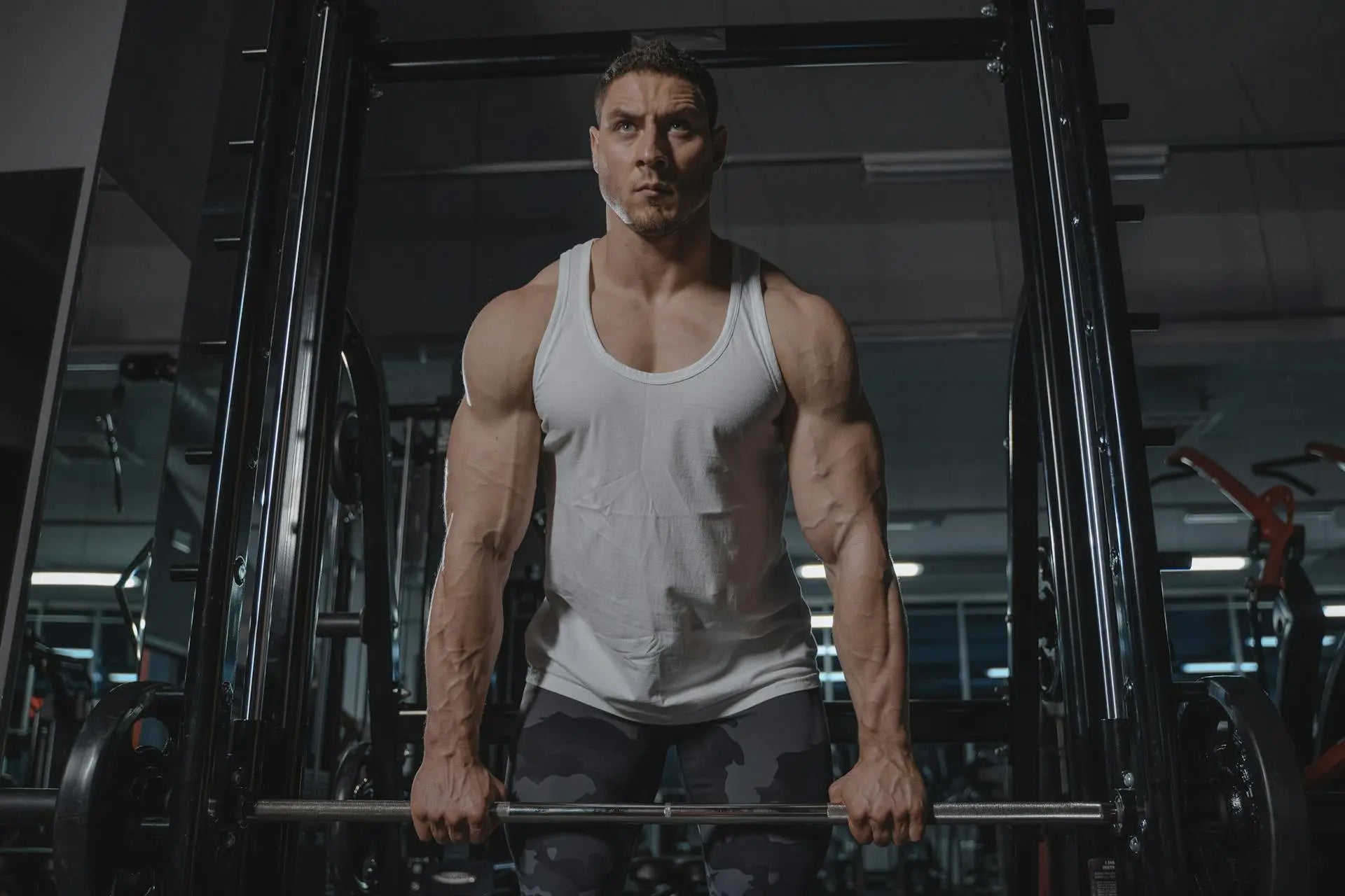 tricep isolation exercises, tricep compound exercises