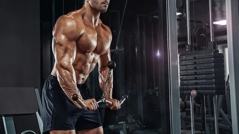 best tricep exercises, exercises for the triceps