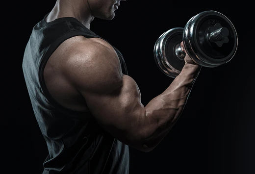 Build Bigger Biceps Faster with these Dumbbell Biceps Exercises