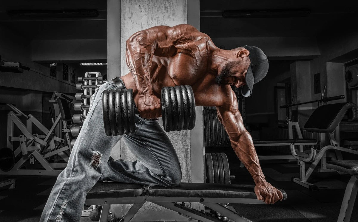 best hypertrophy training program