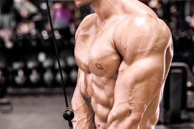 12 Best Medial Head Tricep Exercises for Huge Arms