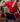 Olympic Lifting Belts