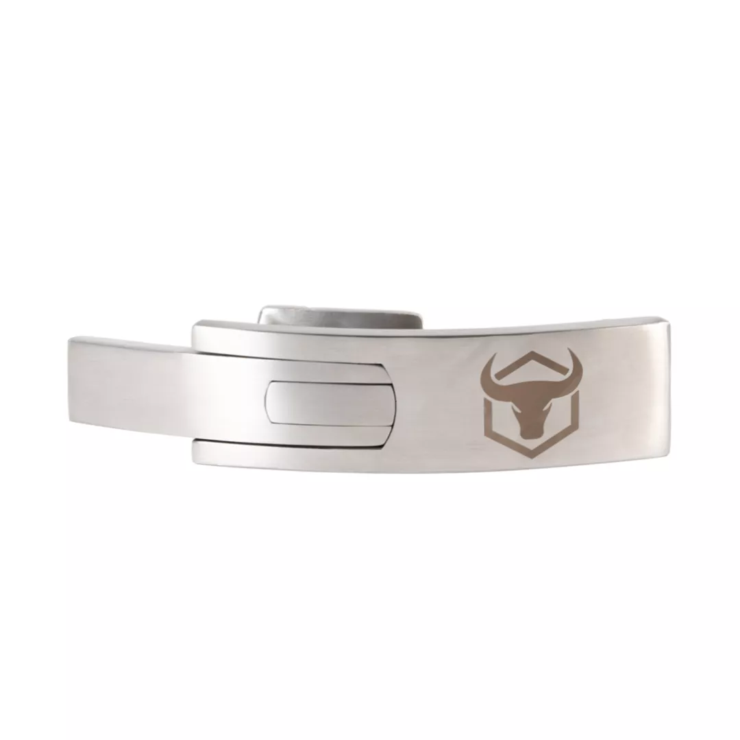 Lever Buckle - Stainless Steel