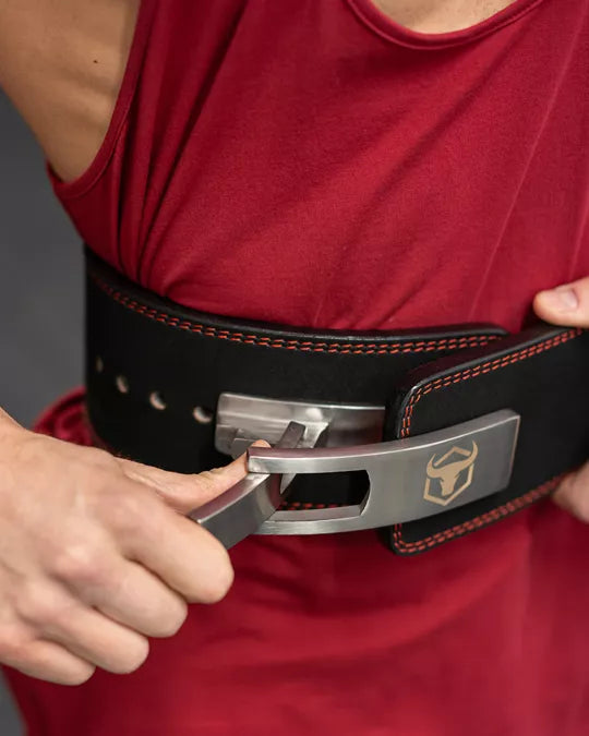Stainless Steel Lever Buckle