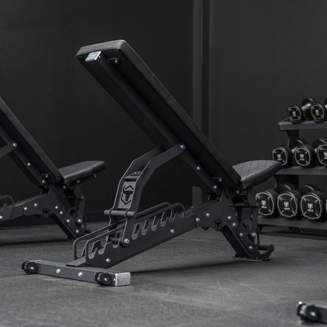Dumbbell Set with Rack | Iron Bull Strength